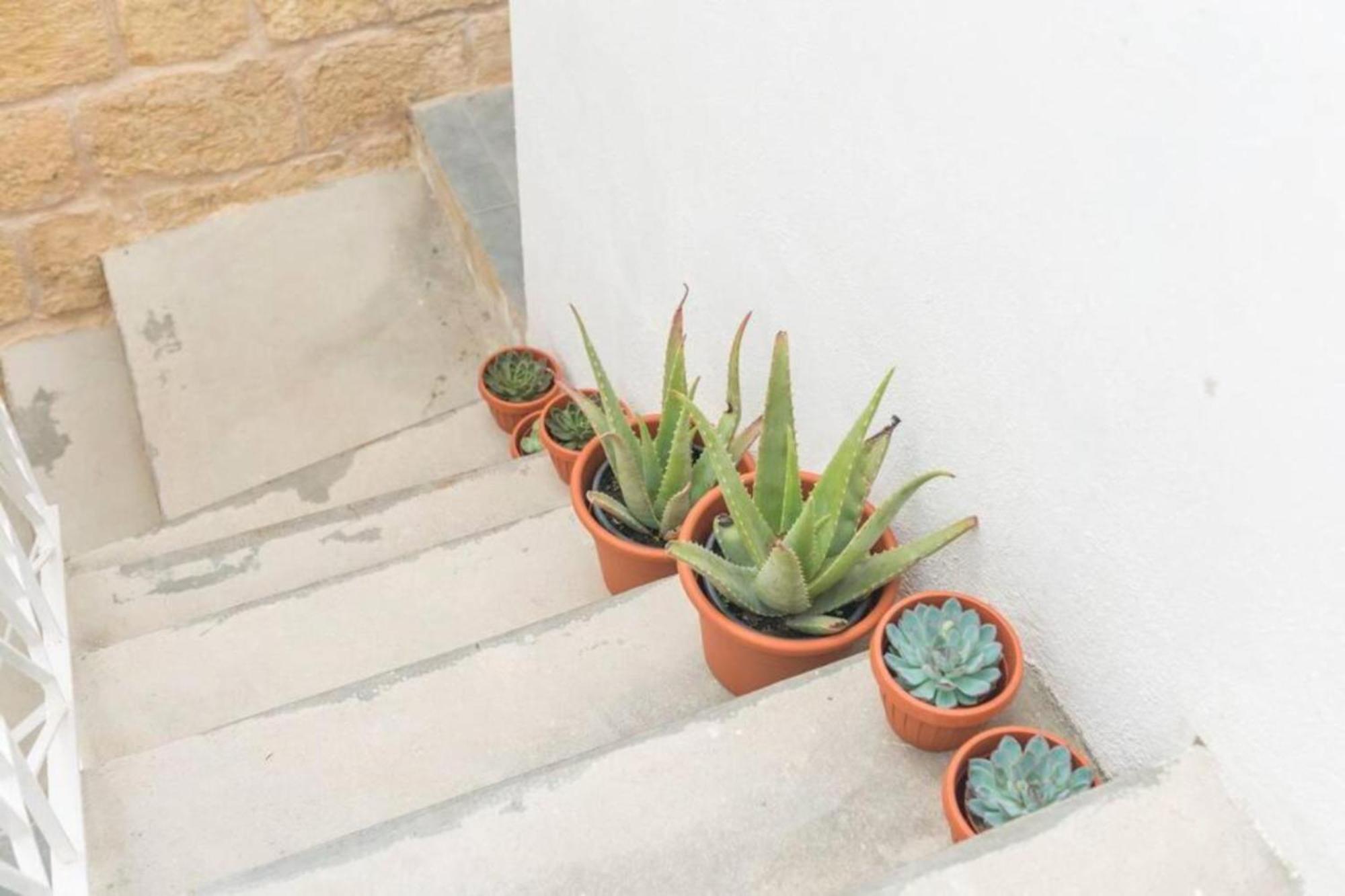 Authentic 1St Fl Apartment At The 3 Cities Marina Cospicua Exteriör bild